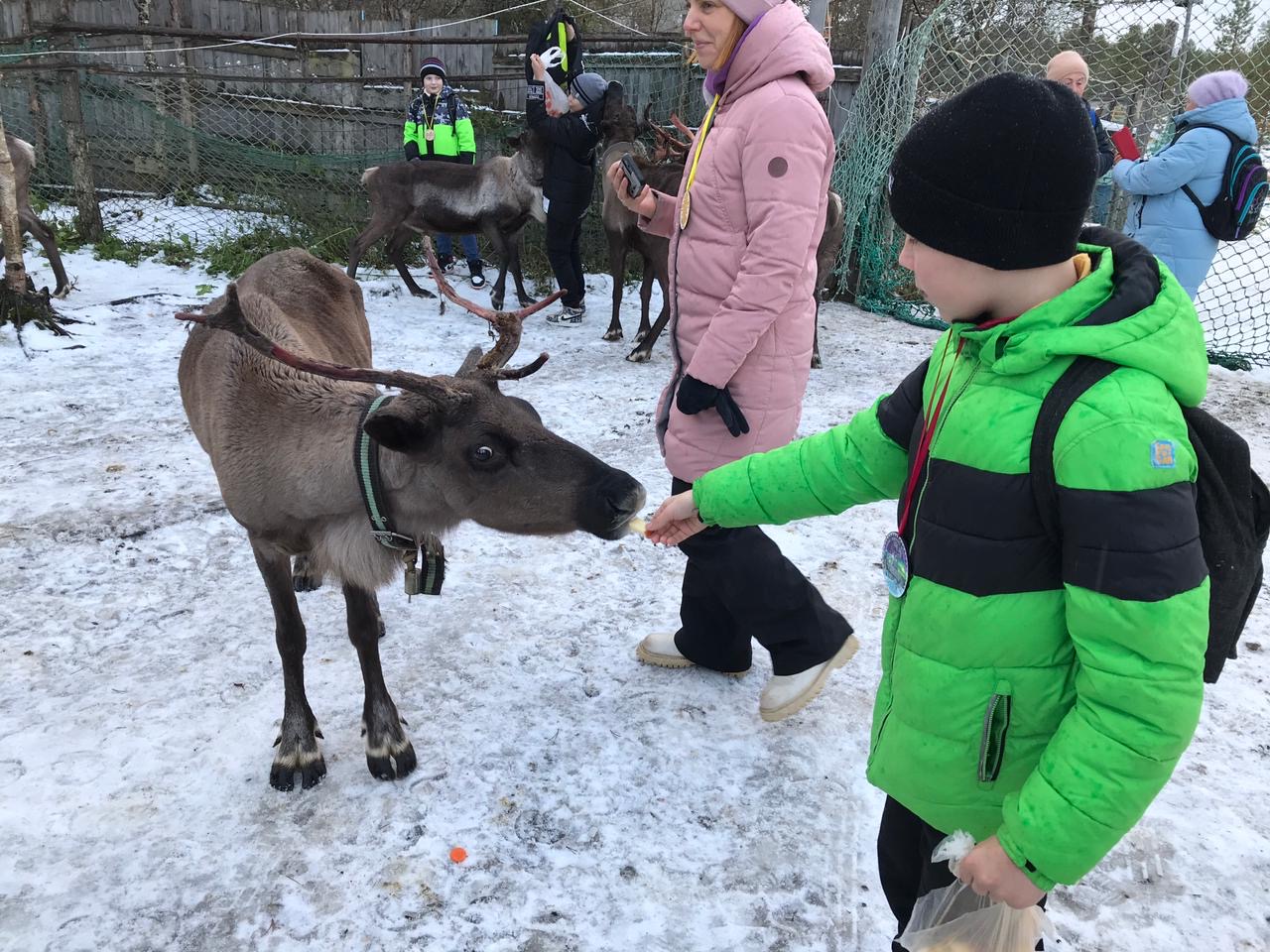 Путешествие по родному краю.
